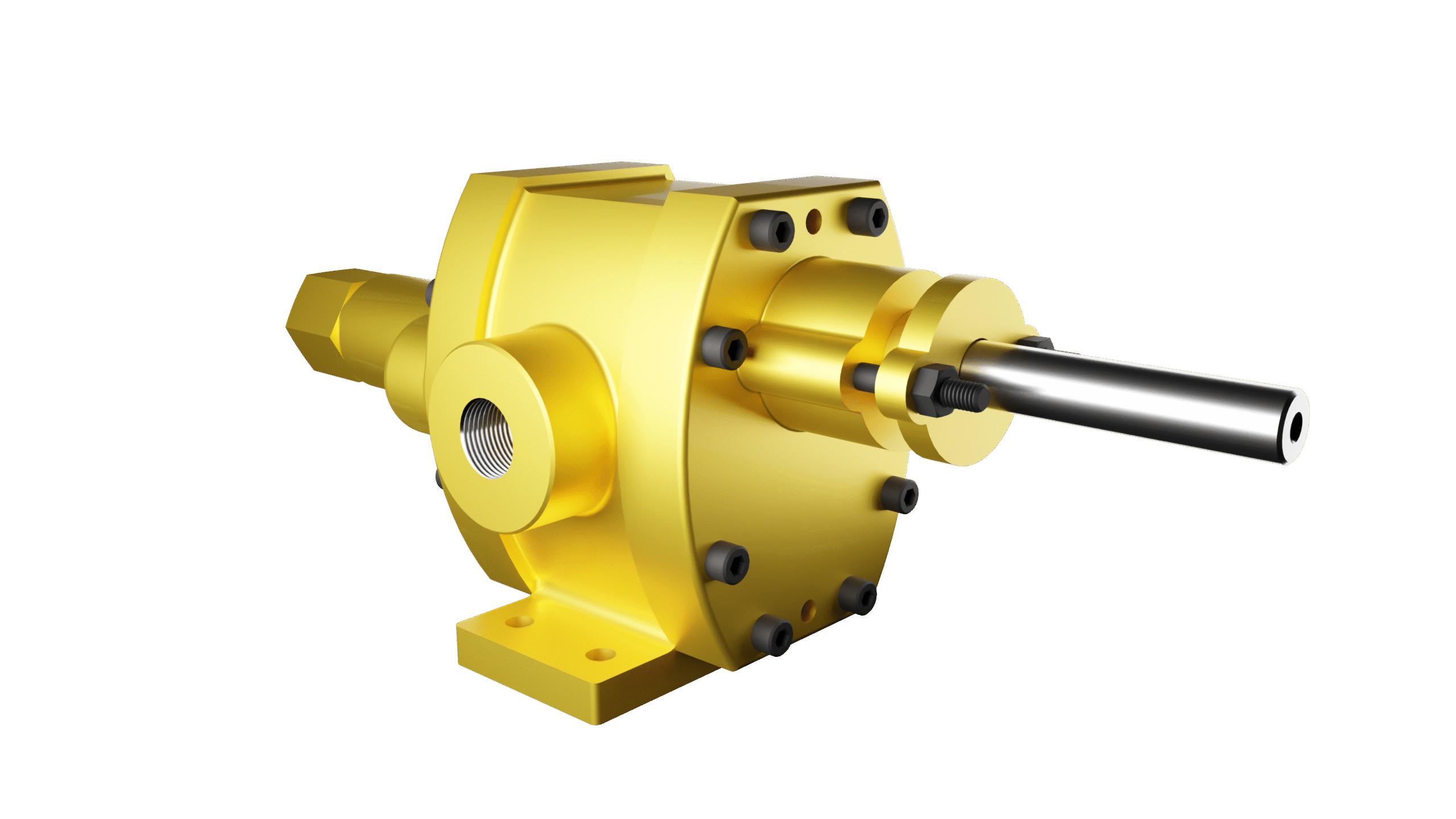 Rotary Gear Pump